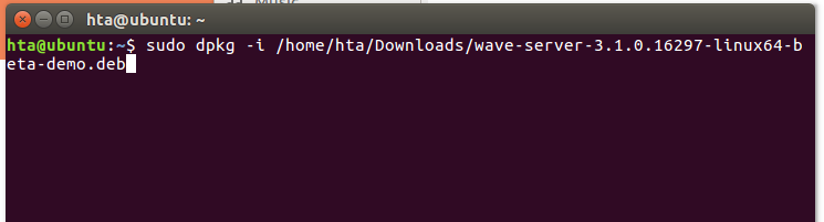 ubuntu_server_install.png